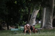 Foto da notícia