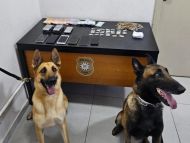 Foto da notícia