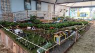 Foto da notícia
