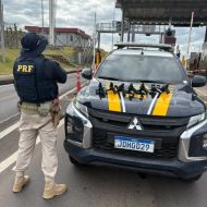 Foto da notícia